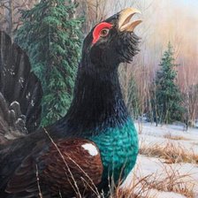 Схема вышивки «Глухарь»