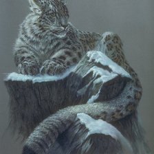 Схема вышивки «барс»