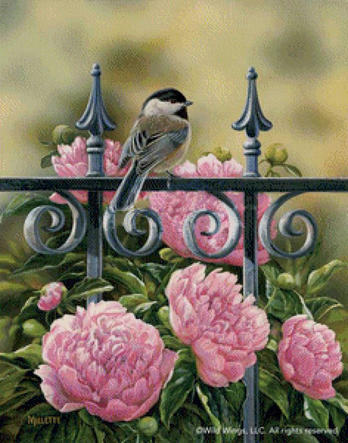 Синичка - птицы, пионы - предпросмотр