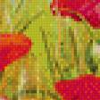Предпросмотр схемы вышивки «Маки» (№489161)