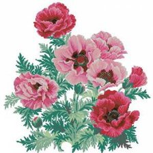 Схема вышивки «Маки»