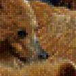 Предпросмотр схемы вышивки «медведь 3» (№489245)