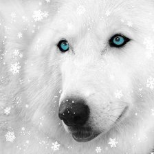 Схема вышивки «снег»