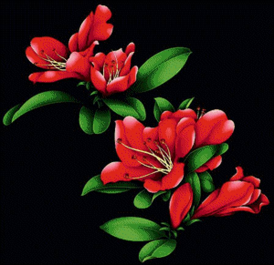 №489428 - предпросмотр