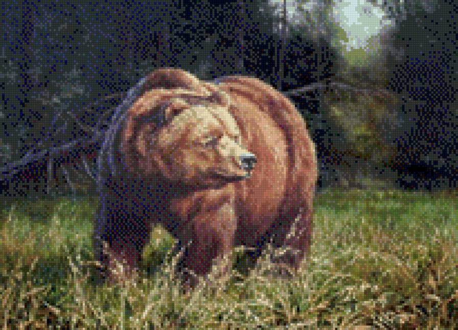 бурый медведь - предпросмотр