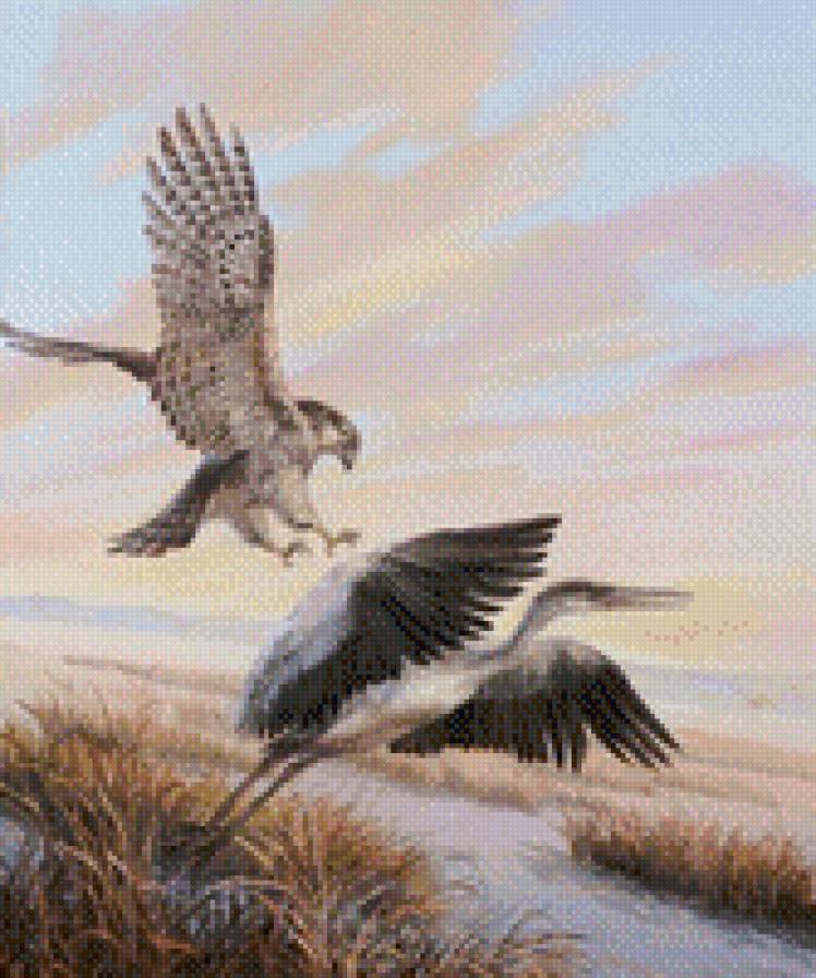 охота - предпросмотр