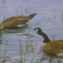 Схема вышивки «птахи»