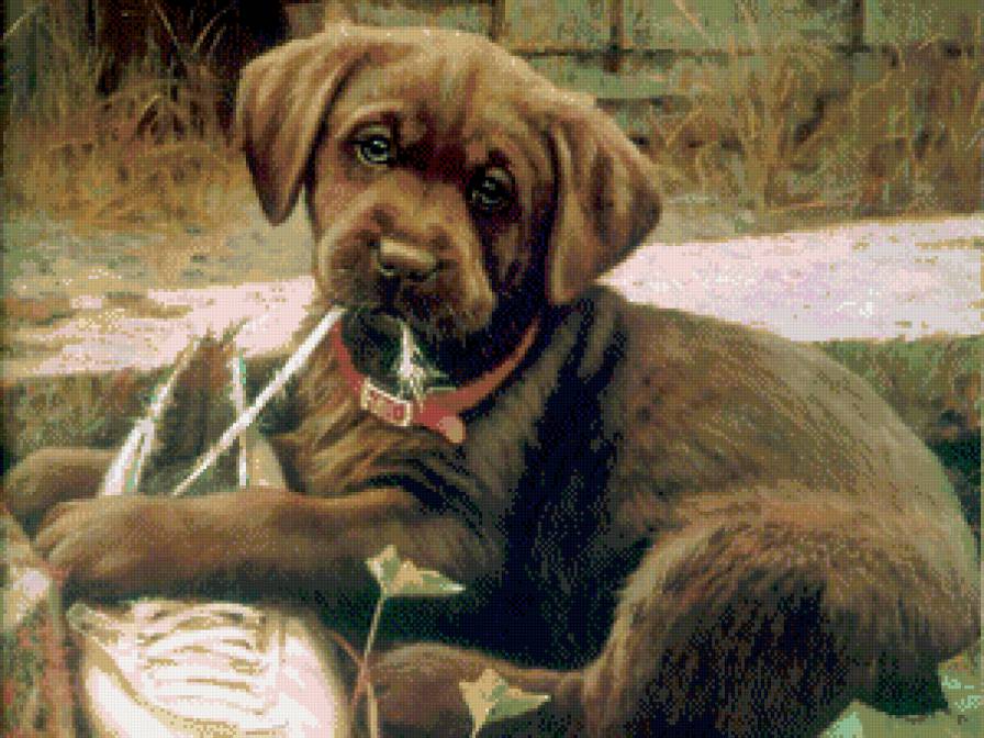 №489688 - собака, животные, картина - предпросмотр