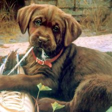 Схема вышивки «№489688»