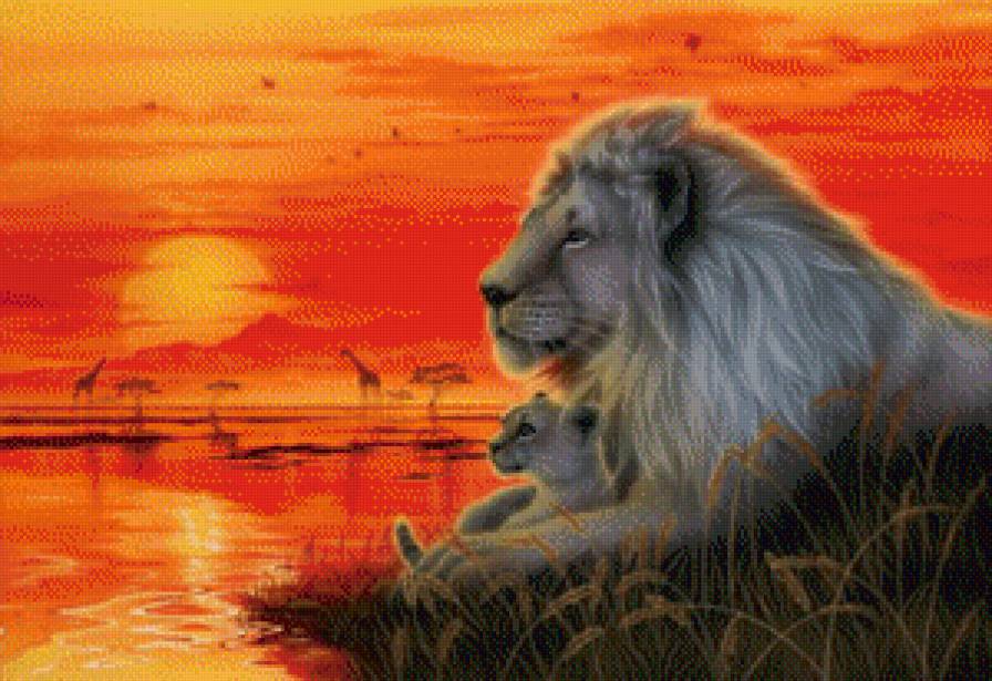 Картины Кентаро Нишино - лев, кошки, саванна, природа - предпросмотр