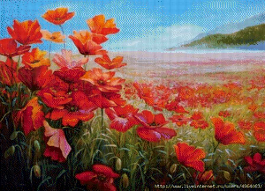 Краски лета - пейзаж, лето, маки - предпросмотр