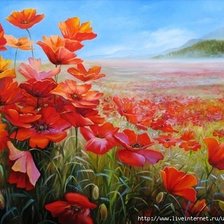 Краски лета