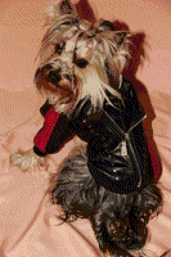 МОЙ МАЛЫШ - предпросмотр