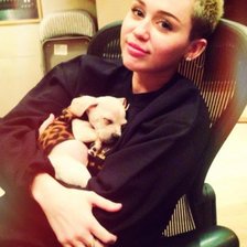 Схема вышивки «Майли Сайрус»