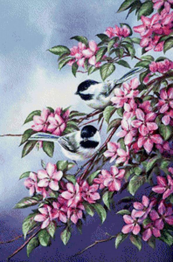 цветы и птицы - живопись, пара, весна - предпросмотр