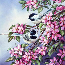 цветы и птицы