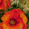 Предпросмотр схемы вышивки «триптих маки» (№490025)