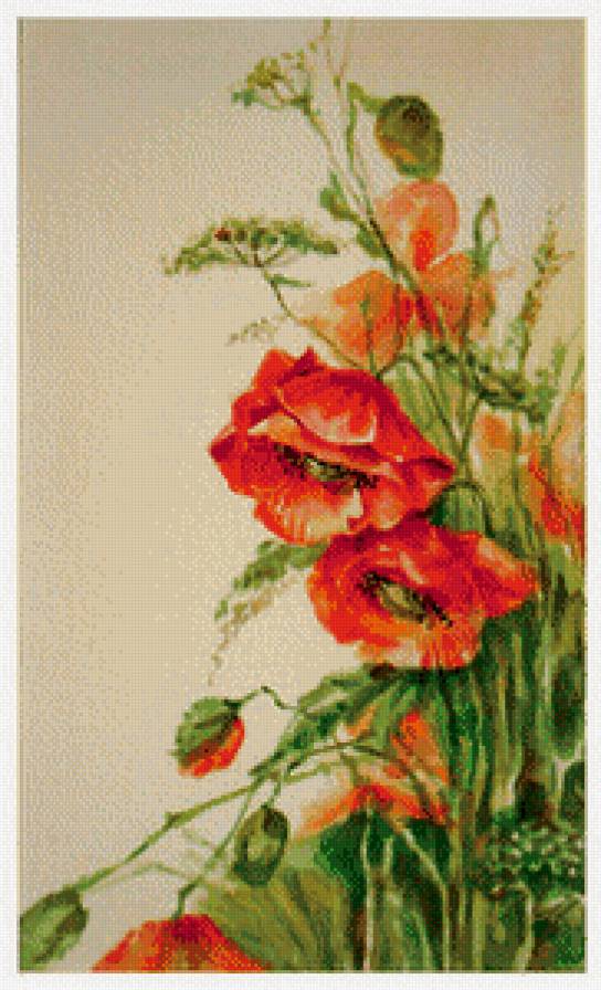 триптих маки правая часть - цветы, букет, мак, ромашка, живопись - предпросмотр