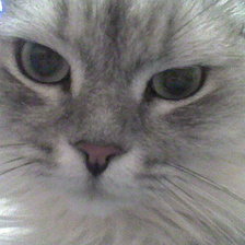 Схема вышивки «босс»