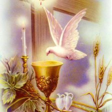 Схема вышивки «№490075»