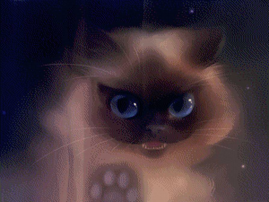 Кошка-ночь - кошка, животные, ночь - предпросмотр