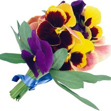 Схема вышивки «анютины глазки»