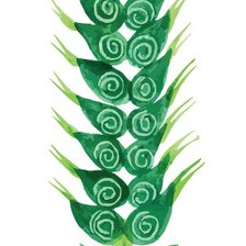 Схема вышивки «колос»