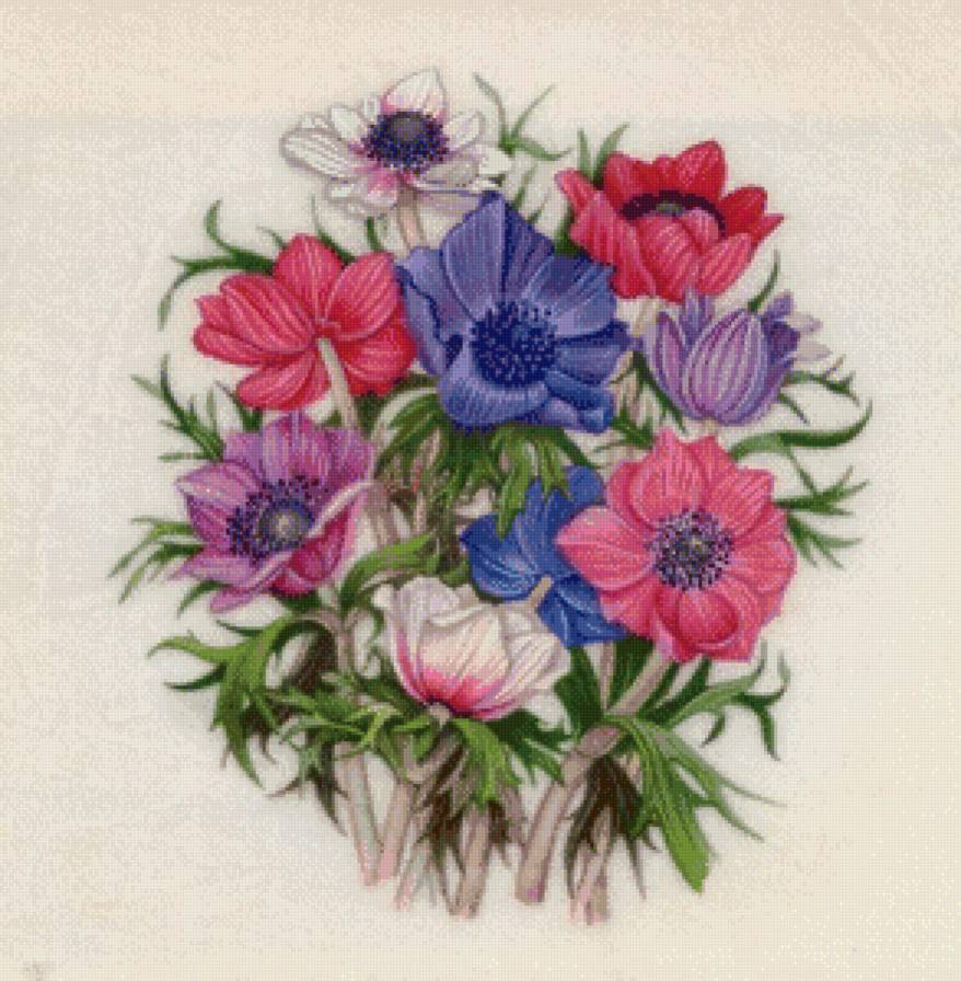 зимний букет - лиловые цветы, анемон, анемоны, букет, красные цветы, синие цветы - предпросмотр