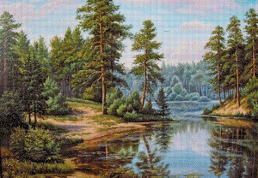 родные просторы - лес, река, лето, сосны, пейзаж, озеро, сосна, деревья - предпросмотр