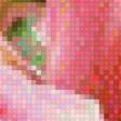 Предпросмотр схемы вышивки «Розы» (№490448)