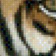 Предпросмотр схемы вышивки «TIGR» (№490455)