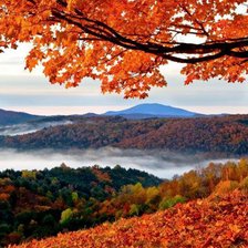 Схема вышивки «Осень»