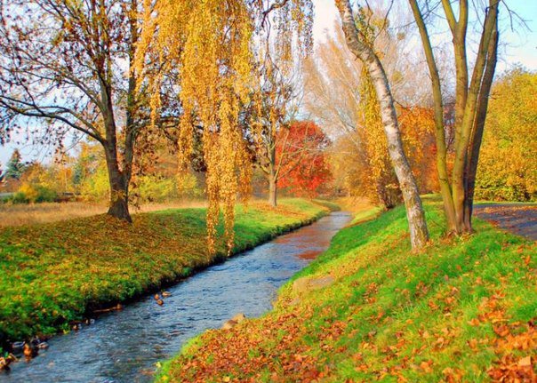 Осень - деревья, природа, река, лем, осень - оригинал