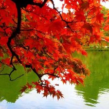 Схема вышивки «Осень»