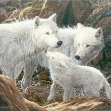 Схема вышивки «Семья»