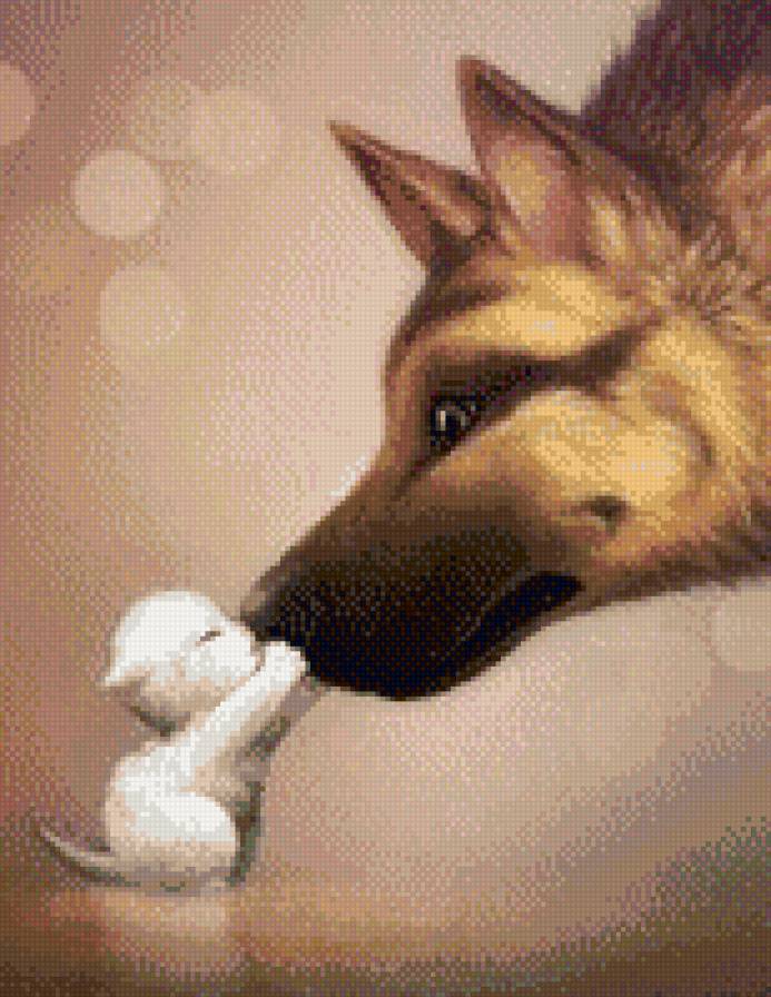 Восторг - собака, котенок, животные, двое - предпросмотр