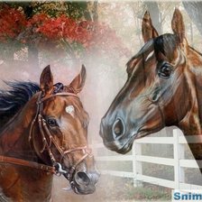 Схема вышивки «среща»