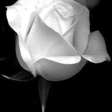 Схема вышивки «№490741»