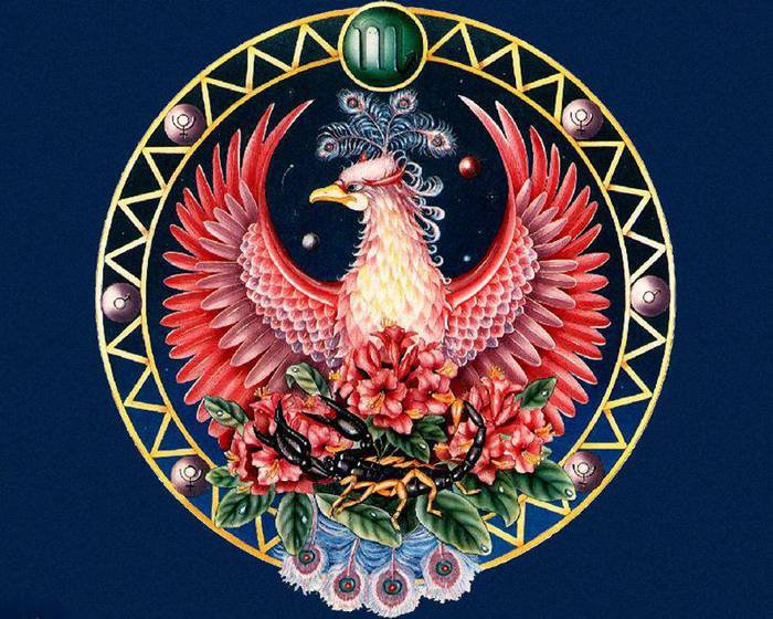 павлин - птицы - оригинал