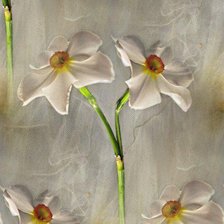 Схема вышивки «№490761»