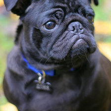 Схема вышивки «Доня»