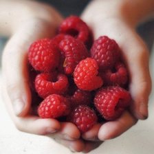 Схема вышивки «малина на руках»