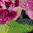 Предпросмотр схемы вышивки «орхидея» (№491075)