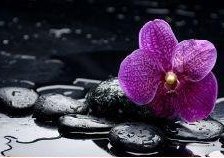 Схема вышивки «орхидея 2»