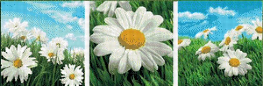 №491123 - предпросмотр