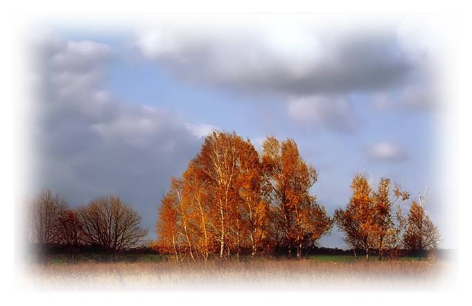 Осень - природа - оригинал