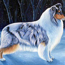 Схема вышивки «Шелти»