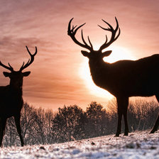Схема вышивки «Закат»