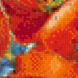 Предпросмотр схемы вышивки «Маки пано» (№491230)