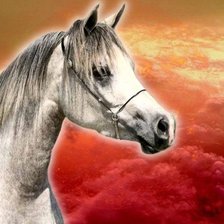 Схема вышивки «конь»